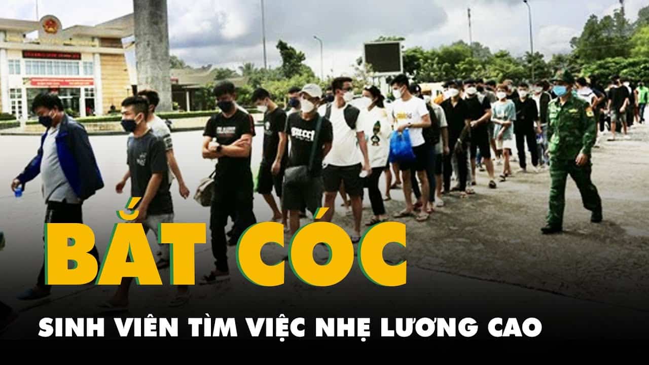 Dấu hiệu nhận biết công ty ma lừa đảo sang Campuchia làm việc